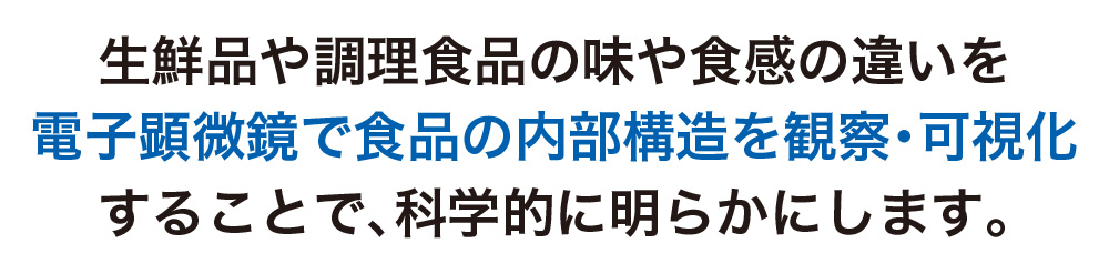 生鮮品や調理食品の味や食感の違いを、電子顕微鏡で食品の内部構造を観察・可視化することで、科学的に明らかにします。