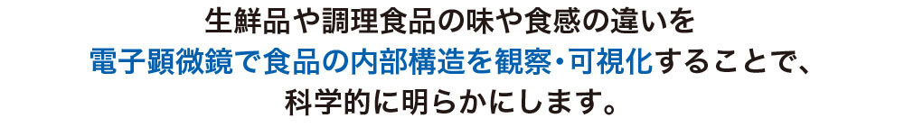 生鮮品や調理食品の味や食感の違いを、電子顕微鏡で食品の内部構造を観察・可視化することで、科学的に明らかにします。