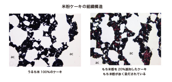 構造×味×食感×成分